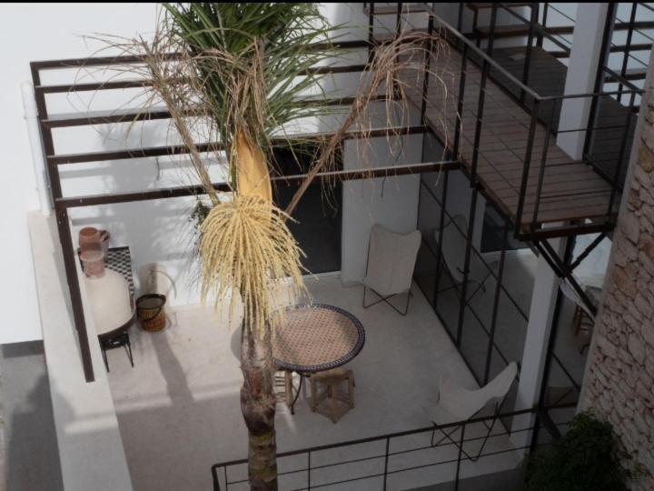 Tigmi Anis Bed & Breakfast Essaouira Exterior photo